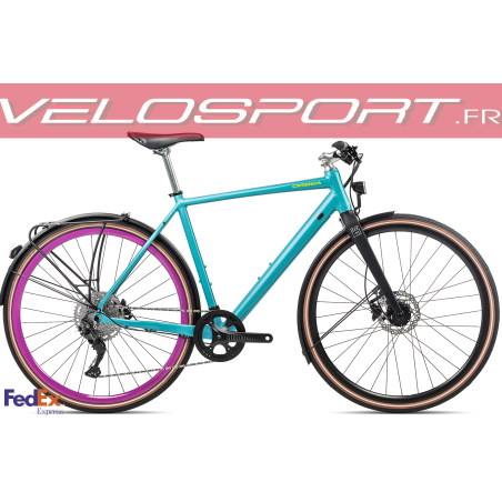 Carpe 10  2022