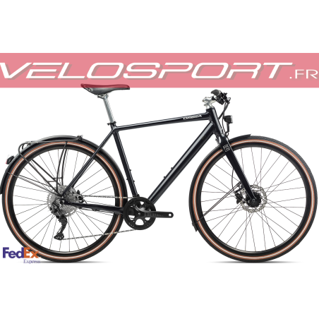 Carpe 10  2022