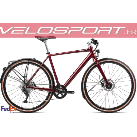 Carpe 10  2022