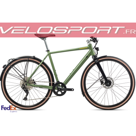 Carpe 10  2022