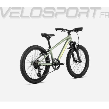 MX 20 XC 2024