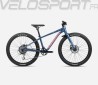 MX 24 TEAM DISC 2024