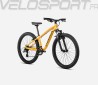MX 24 XC 2024
