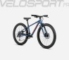 MX 24 TEAM DISC 2024