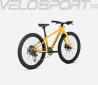 MX 24 TEAM DISC 2024