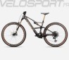 RISE SL M-LTD 2025