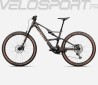RISE SL M20 2025