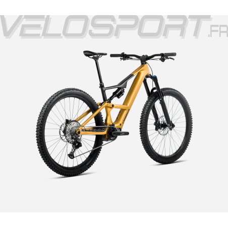 RISE LT H10 2025