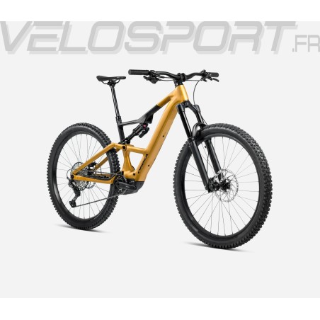 RISE LT H10 2025