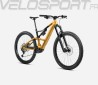 RISE LT H10 2025