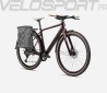 VIBE H30 EQ 2024