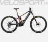 WILD M-LTD 2025