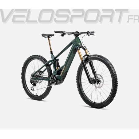 WILD M-LTD 2025