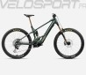 WILD M-LTD 2025