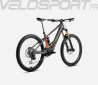 WILD M10 2025