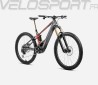 WILD M10 2025