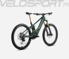 WILD M10 2025