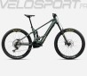 WILD M20 2025