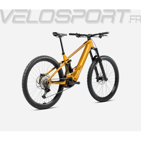 WILD H10 2025