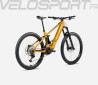 WILD H10 2025