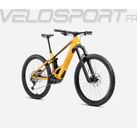 WILD H10 2025