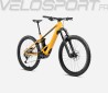 WILD H10 2025