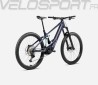 WILD H10 2025