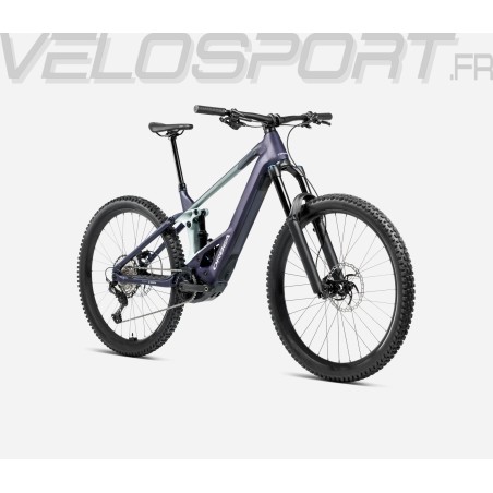 WILD H10 2025