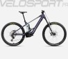 WILD H10 2025