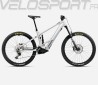 WILD ST H30 2025