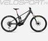 WILD M-LTD 2024
