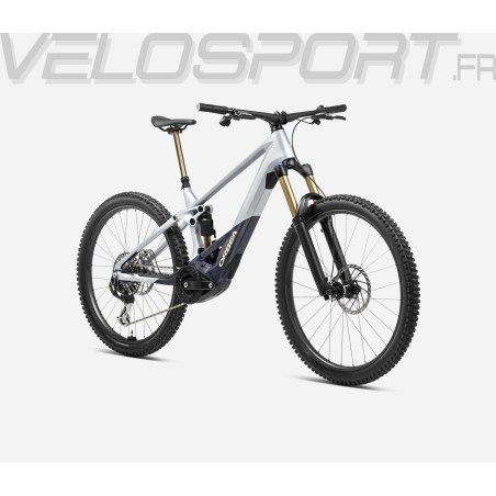 WILD M-LTD 2024