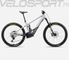 WILD M10 2024