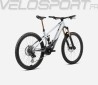 WILD M10 2024