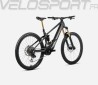 WILD M20 2024