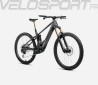 WILD M20 2024