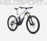 WILD M20 2024