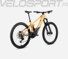 WILD H10 2024