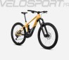 WILD H10 2024