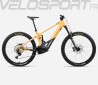 WILD H10 2024