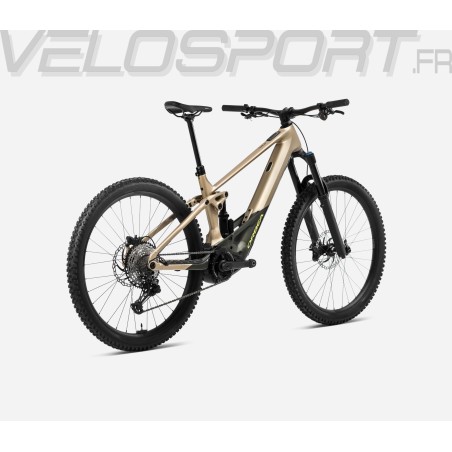 WILD H10 2024