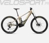 WILD H10 2024
