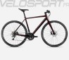 VECTOR 10 2026