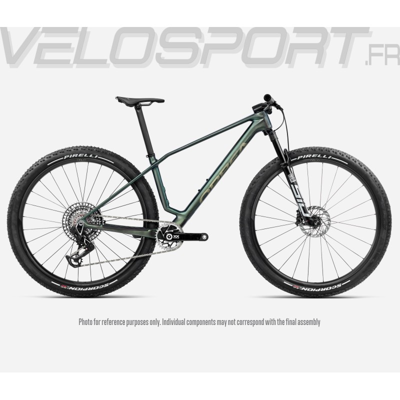 ALMA M-LTD 2026