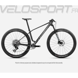 ALMA M-LTD 2026