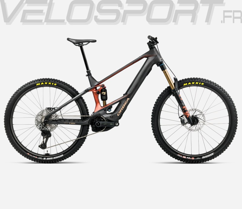 WILD M-LTD 2026