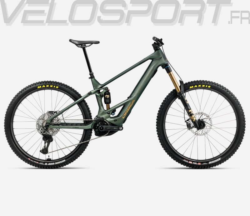 WILD M-LTD 2026