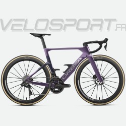 Plum - Purple