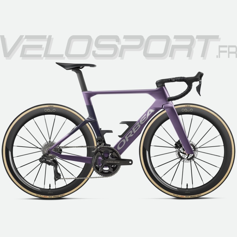 Plum - Purple
