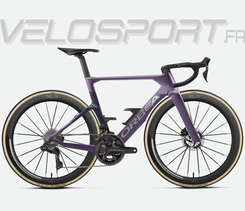 Plum - Purple